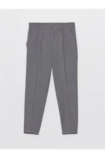 LC Waikiki Standard Mold Men's Trousers