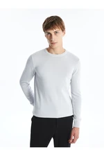 LC Waikiki Crew Neck Long Sleeve Men's Knitwear Sweater