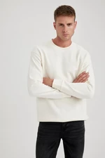 DEFACTO Comfort Regular Fit Relaxed Fit Basic Plain Sweatshirt