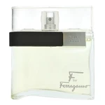 Salvatore Ferragamo F by Ferragamo Pour Homme toaletní voda pro muže 100 ml