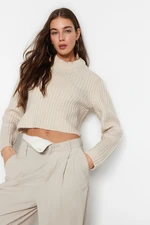 Trendyol Stone Crop Basic Knitwear Sweater