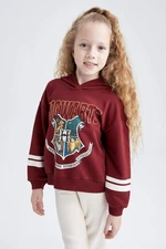 DEFACTO Regular Fit Harry Potter Licensed Sweatshirt