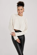 DEFACTO Regular Fit Crew Neck Knitwear Pullover