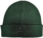 2Pac Chapeau Fist Logo Green