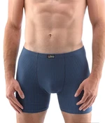 Men's boxers Gino blue