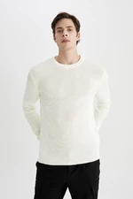 DEFACTO Men's Ecru Standard Fit Regular Cut Crew Neck Knitwear Sweater