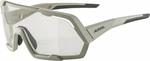 Alpina Rocket V Cool/Grey Matt/Clear Fahrradbrille