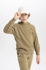 DEFACTO Boy's Hooded Printed Thick Sweatshirt