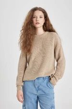 DEFACTO Crew Neck Thessaloniki Fabric Basic Plain Knitwear Sweater