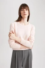 DEFACTO Regular Fit Crew Neck Basic Plain Knitwear Sweater