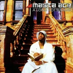 Masta Ace - A Long Hot Summer (2 LP)