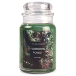 Village Candle Vonná svíčka ve skle Forbidden Forest 602 g