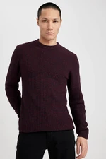 DEFACTO Men's Claret Red Standard Fit Regular Cut Crew Neck Textured Basic Knitwear Sweater