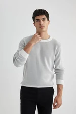 DEFACTO Standard Fit Crew Neck Sweater