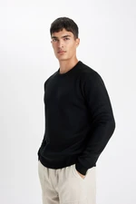 DEFACTO Standard Fit Crew Neck Sweater