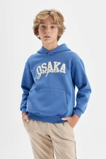 DEFACTO Boy Blue Printed Hooded Pocket Sweatshirt