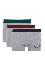 DEFACTO Regular Fit 3-pack Boxer