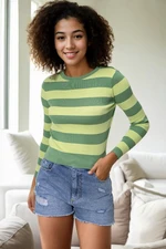 16420 Dewberry Womens Striped Crew Neck Knitwear Sweater-GREEN