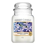 Yankee Candle Midnight Jasmine vonná svíčka 623 g