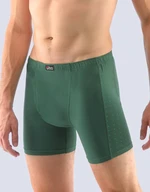 Men's boxers Gino green