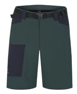 Men's shorts Hannah VERNE green gables/anthracite