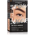 L’Oréal Paris Brow Color farba na obočie odtieň 3.0 Dark Brunette 1 ks