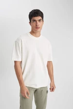 DEFACTO Oversize Fit Crew Neck T-Shirt