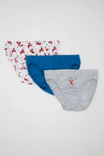 DEFACTO Boy's Cotton 3-Piece Slip Panties