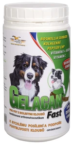 GELACAN Gelacan Fast 500 g