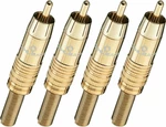 Oehlbach CJG 51 5,5mm Gold 4 pcs