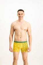 Men's boxers Frogies Zodiac Bliźnięta