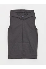 LC Waikiki Basic Boys' Zippered Vest with a Hoodie.