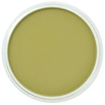 PanPastel 9ml – 680.3 Bright Yellow Green Shade