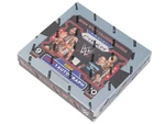 Panini 2024 Panini Prizm WWE Wrestling Under Card Box