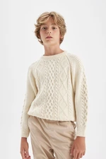 DEFACTO Boy's Crew Neck Knitwear Sweater