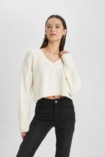 DEFACTO Regular Fit V-Neck Sweater