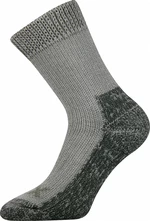 VoXX Socks Grey