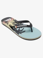 Pánske šľapky Quiksilver MOLOKAI ART