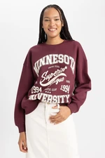 DEFACTO Oversize Fit Crew Neck Thick Sweatshirt