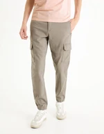 Celio Pants slim cargo Dolyte - Men