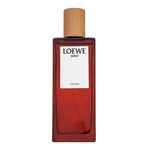 Loewe Solo Loewe Cedro woda toaletowa dla mężczyzn 100 ml