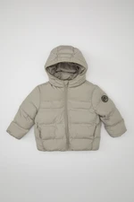 DEFACTO Baby Boy Hooded Water Repellent Fabric Puffer Jacket