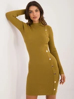 Olive Green Fitted Knitted Dress