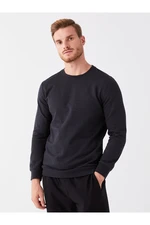 LC Waikiki Crew Neck Long Sleeve Men's Sweatshirt