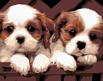 Zuty Pintura de diamantes Cachorros blancos y marrones