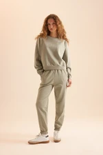 DEFACTO Regular Fit Normal Mold Basic Thick Polar Fleece Tracksuit