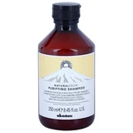 Davines Naturaltech Purifying Shampoo čistiaci šampón proti lupinám 250 ml