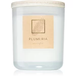 DW Home Tropics Plumeria vonná svíčka 264 g