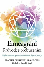 Enneagram - Průvodce probuzením - Chestnut Beatrice, Uranio Paes