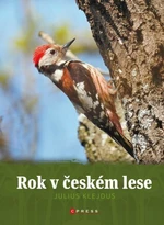 Rok v českém lese - e-kniha